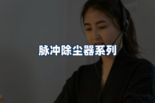 脉冲除尘器展示